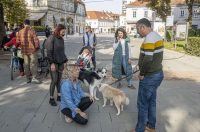 20251010 Kestenijada u Radićevoj ulici (31)