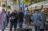 20251010 Kestenijada u Radićevoj ulici (4)