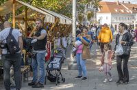 20251010 Kestenijada u Radićevoj ulici (41)