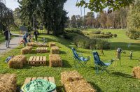 20251010 Kestenijada u Radićevoj ulici (42)