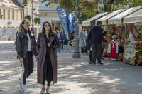 20251010 Kestenijada u Radićevoj ulici (44)