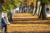 20251014Jesen na Karlovačkim ulicama (48) 20251014Jesen na Karlovačkim ulicama (48)