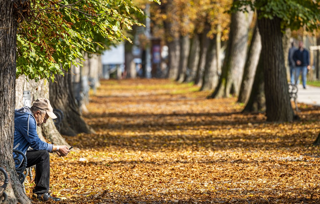 20251014Jesen na Karlovačkim ulicama (48) 20251014Jesen na Karlovačkim ulicama (48)