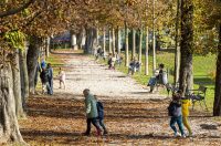 20251014Jesen na Karlovačkim ulicama (51) 20251014Jesen na Karlovačkim ulicama (51)