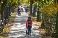 20251014Jesen na Karlovačkim ulicama (52) 20251014Jesen na Karlovačkim ulicama (52)