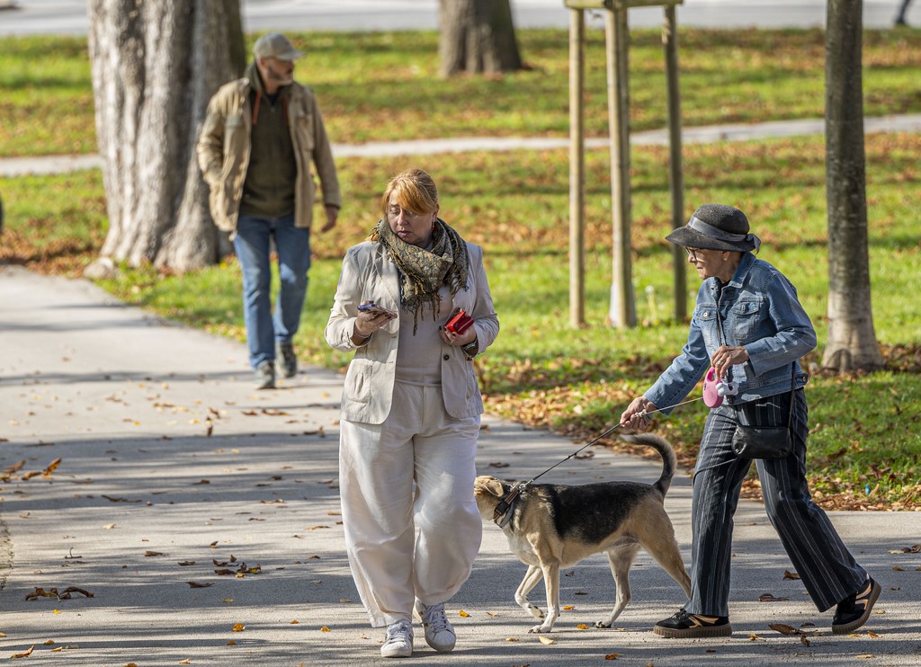 20251014Jesen na Karlovačkim ulicama (54) 20251014Jesen na Karlovačkim ulicama (54)