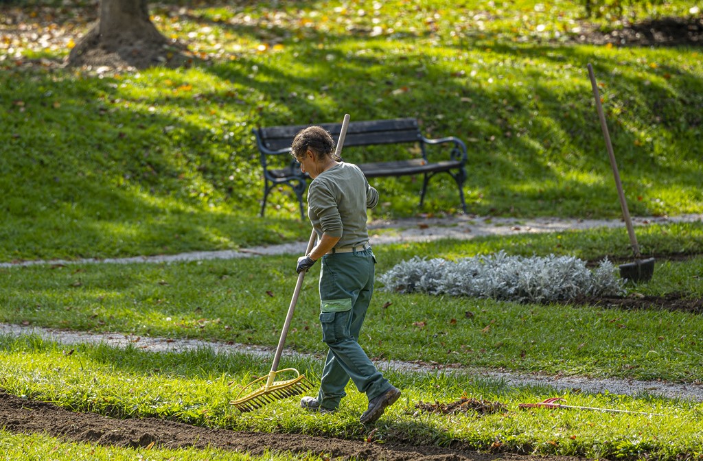20251014Jesen na Karlovačkim ulicama (56) 20251014Jesen na Karlovačkim ulicama (56)