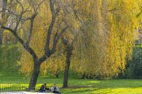 20251014Jesen na Karlovačkim ulicama (59) 20251014Jesen na Karlovačkim ulicama (59)