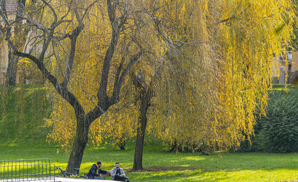 20251014Jesen na Karlovačkim ulicama (59) 20251014Jesen na Karlovačkim ulicama (59)