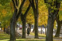 20251014Jesen na Karlovačkim ulicama (60) 20251014Jesen na Karlovačkim ulicama (60)