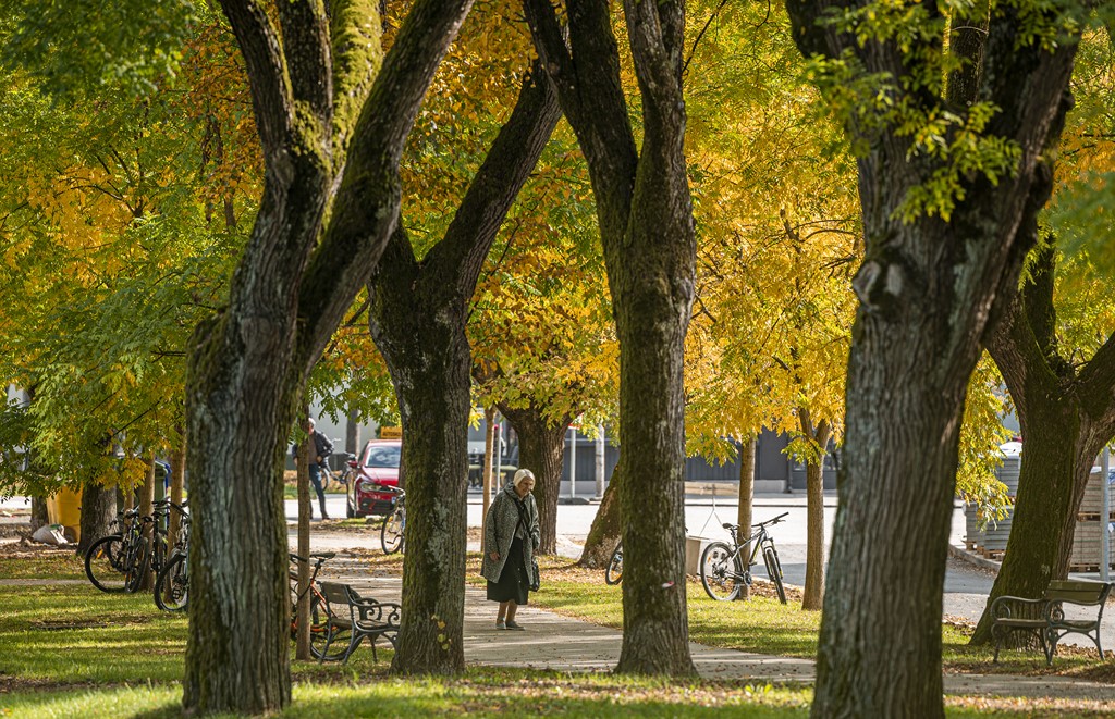20251014Jesen na Karlovačkim ulicama (60) 20251014Jesen na Karlovačkim ulicama (60)