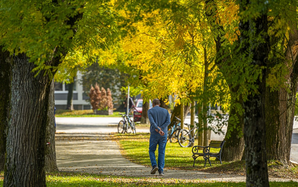20251014Jesen na Karlovačkim ulicama (61) 20251014Jesen na Karlovačkim ulicama (61)