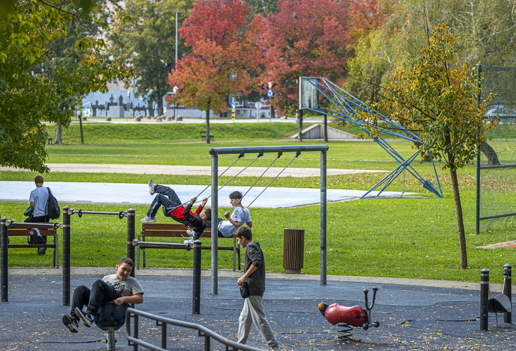 20251014Jesen na Karlovačkim ulicama (62) 20251014Jesen na Karlovačkim ulicama (62)