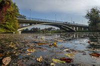 20251014Jesen na Karlovačkim ulicama (65) 20251014Jesen na Karlovačkim ulicama (65)