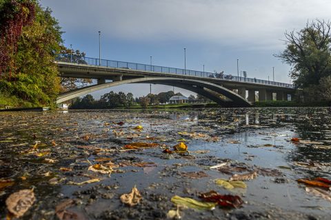 20251014Jesen na Karlovačkim ulicama (65)