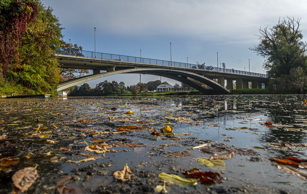 20251014Jesen na Karlovačkim ulicama (65) 20251014Jesen na Karlovačkim ulicama (65)