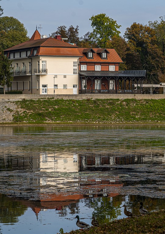 20251014Jesen na Karlovačkim ulicama (69) 20251014Jesen na Karlovačkim ulicama (69)