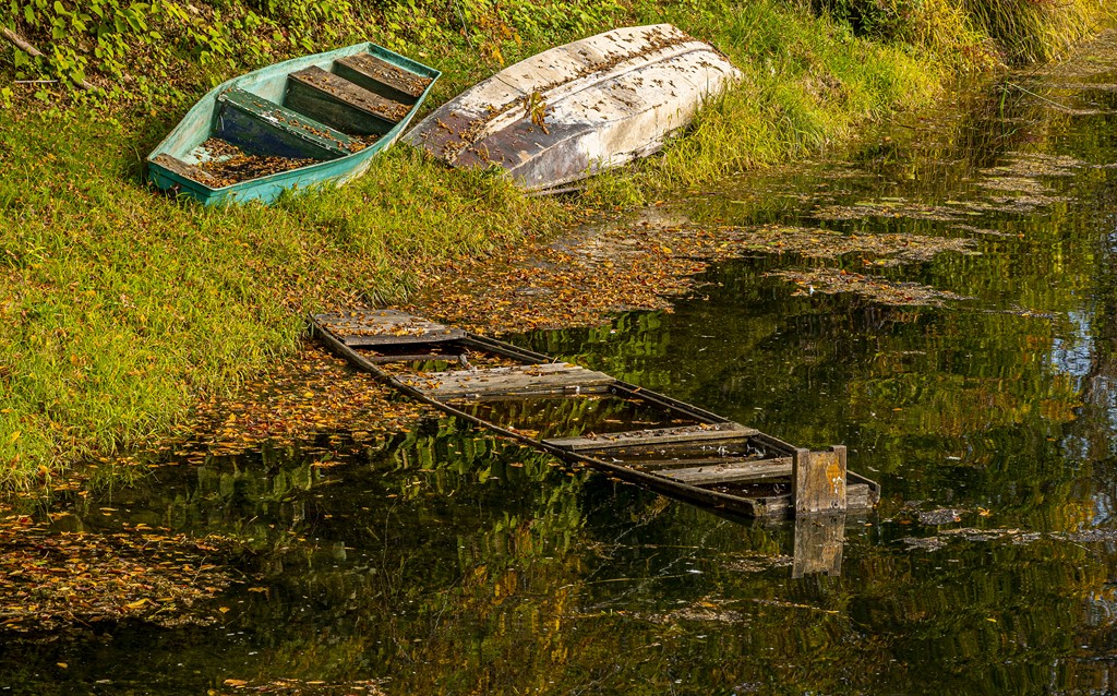 20251014Jesen na Karlovačkim ulicama (70) 20251014Jesen na Karlovačkim ulicama (70)
