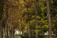 20251014Jesen na Karlovačkim ulicama (71) 20251014Jesen na Karlovačkim ulicama (71)