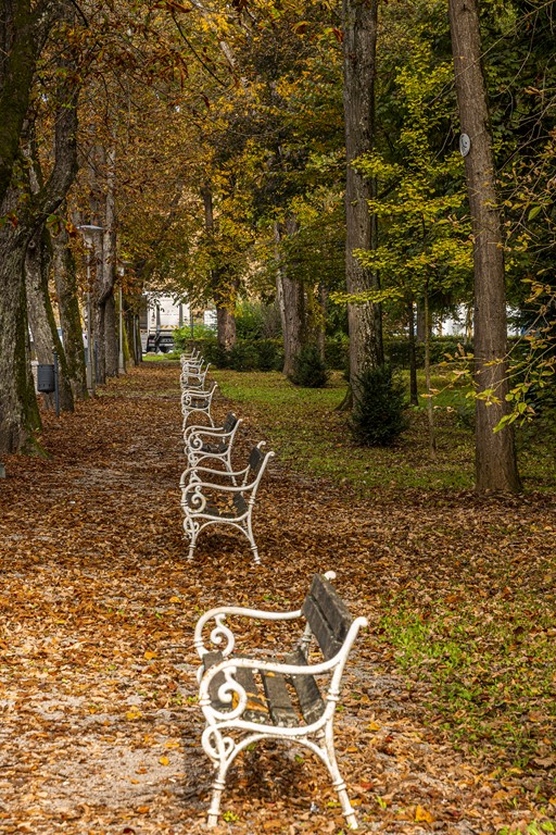 20251014Jesen na Karlovačkim ulicama (71) 20251014Jesen na Karlovačkim ulicama (71)