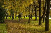 20251014Jesen na Karlovačkim ulicama (72) 20251014Jesen na Karlovačkim ulicama (72)