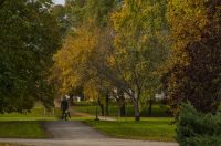 20251014Jesen na Karlovačkim ulicama (73) 20251014Jesen na Karlovačkim ulicama (73)