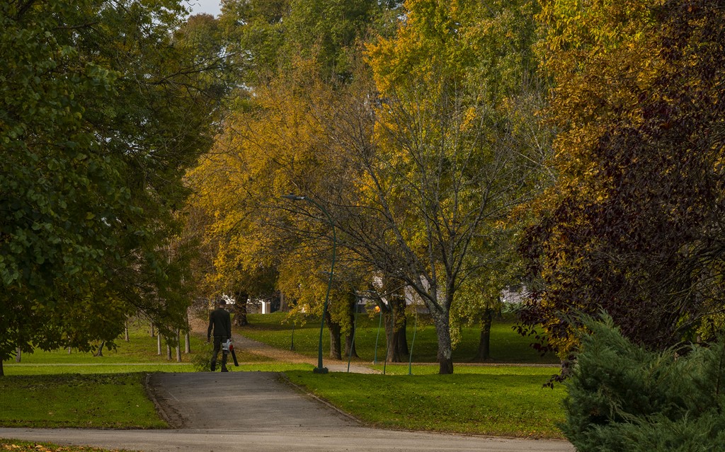 20251014Jesen na Karlovačkim ulicama (73) 20251014Jesen na Karlovačkim ulicama (73)