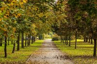 20251014Jesen na Karlovačkim ulicama (74) 20251014Jesen na Karlovačkim ulicama (74)