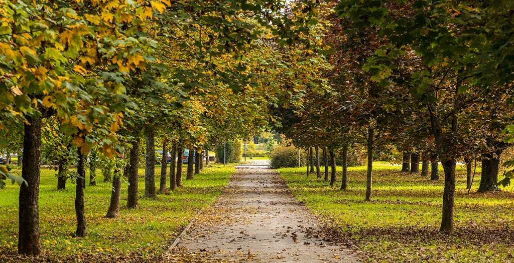 20251014Jesen na Karlovačkim ulicama (74) 20251014Jesen na Karlovačkim ulicama (74)