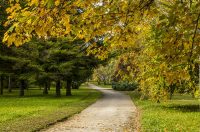 20251014Jesen na Karlovačkim ulicama (75) 20251014Jesen na Karlovačkim ulicama (75)