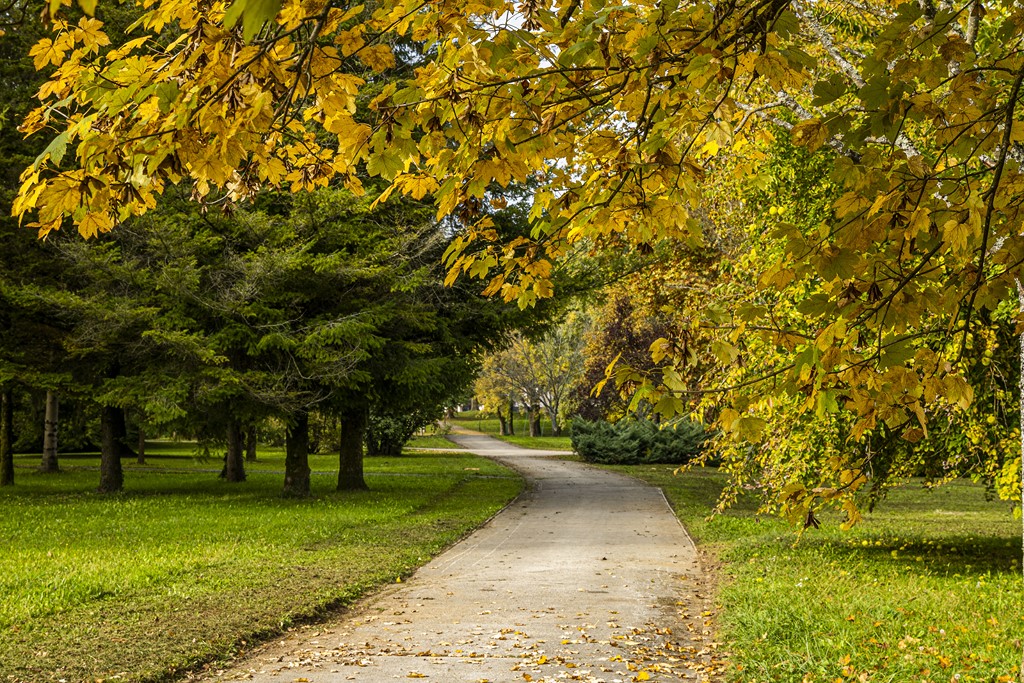 20251014Jesen na Karlovačkim ulicama (75) 20251014Jesen na Karlovačkim ulicama (75)