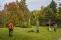 20251014Jesen na Karlovačkim ulicama (77) 20251014Jesen na Karlovačkim ulicama (77)