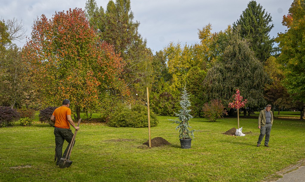 20251014Jesen na Karlovačkim ulicama (77) 20251014Jesen na Karlovačkim ulicama (77)