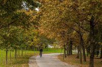 20251014Jesen na Karlovačkim ulicama (78) 20251014Jesen na Karlovačkim ulicama (78)