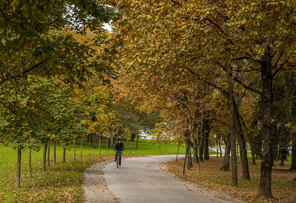 20251014Jesen na Karlovačkim ulicama (78) 20251014Jesen na Karlovačkim ulicama (78)