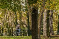 20251014Jesen na Karlovačkim ulicama (79) 20251014Jesen na Karlovačkim ulicama (79)