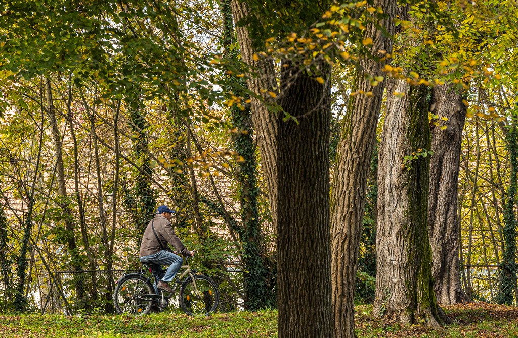 20251014Jesen na Karlovačkim ulicama (79) 20251014Jesen na Karlovačkim ulicama (79)