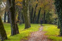 20251014Jesen na Karlovačkim ulicama (80) 20251014Jesen na Karlovačkim ulicama (80)