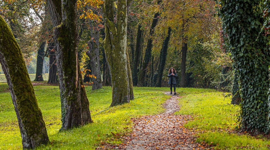 20251014Jesen na Karlovačkim ulicama (80) 20251014Jesen na Karlovačkim ulicama (80)