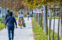 20251014Jesen na Karlovačkim ulicama (81) 20251014Jesen na Karlovačkim ulicama (81)