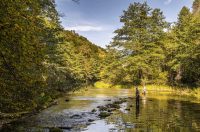 20251018 Slunjčica (11)