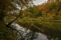 20251018 Slunjčica (12)