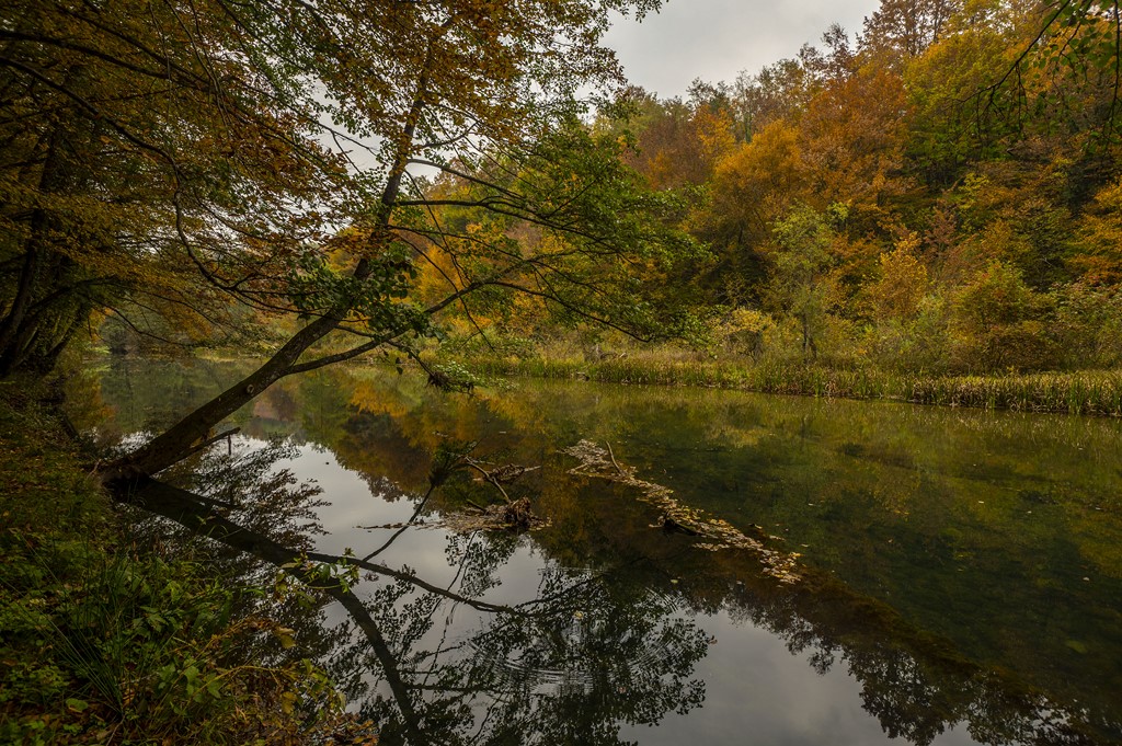 20251018 Slunjčica (12)