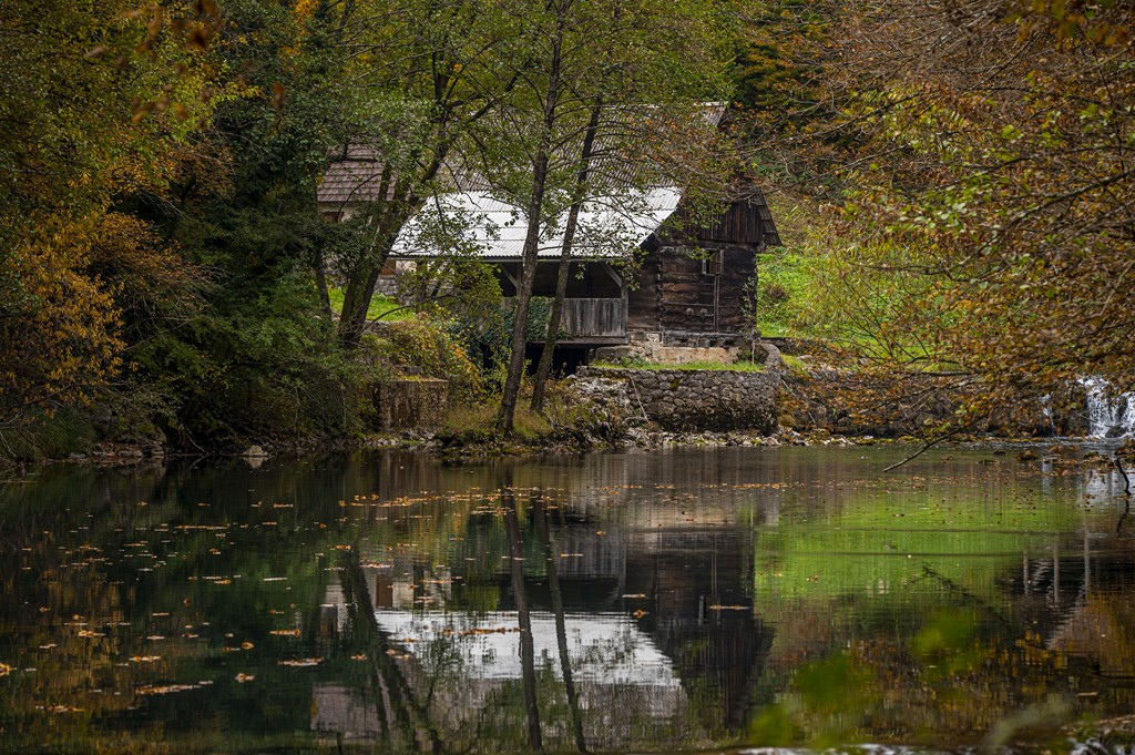 20251018 Slunjčica (15)