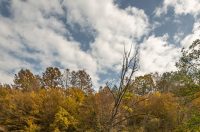 20251018 Slunjčica (3)