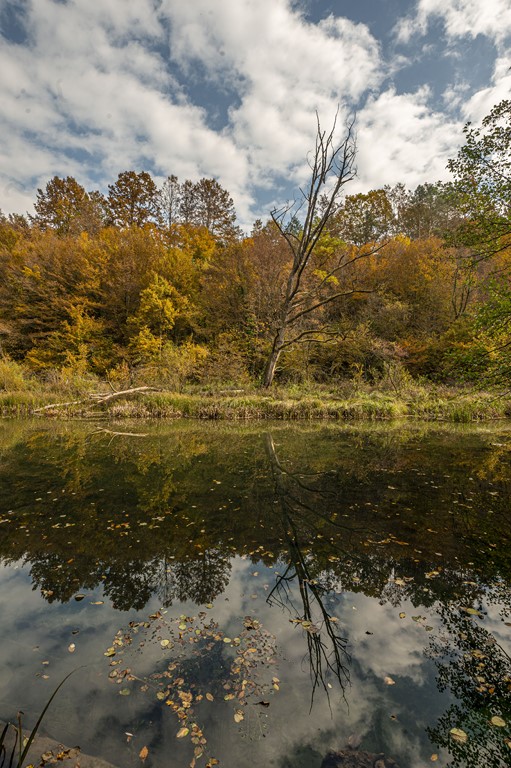 20251018 Slunjčica (3)