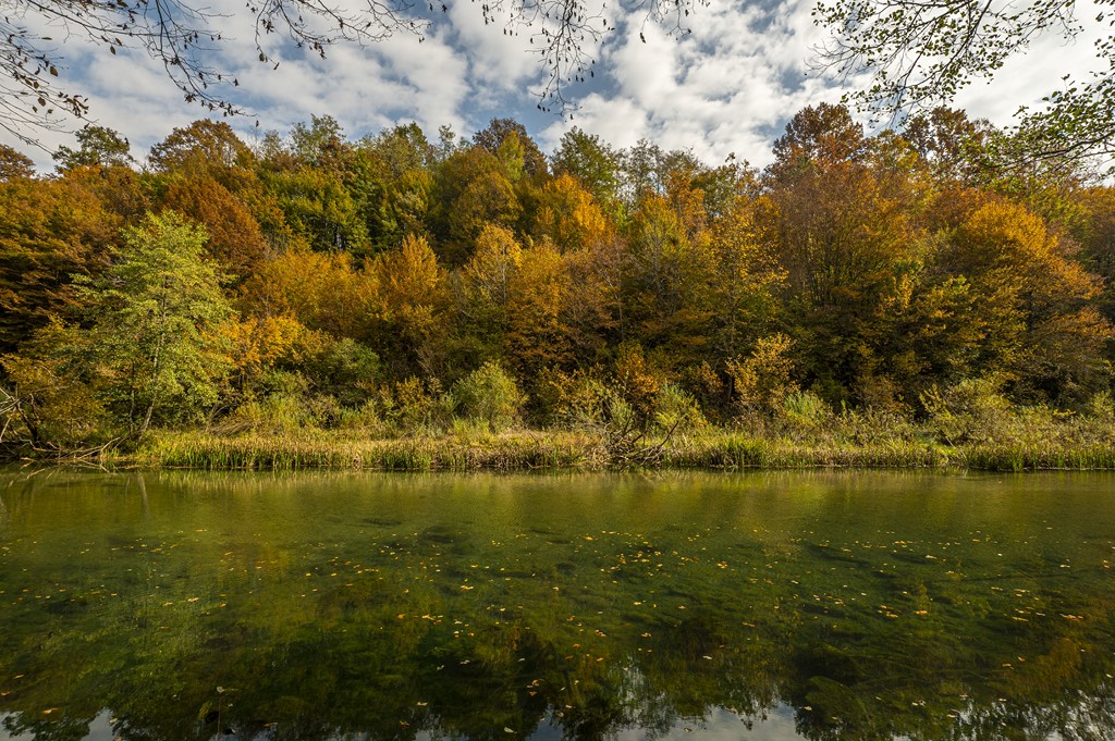 20251018 Slunjčica (5)