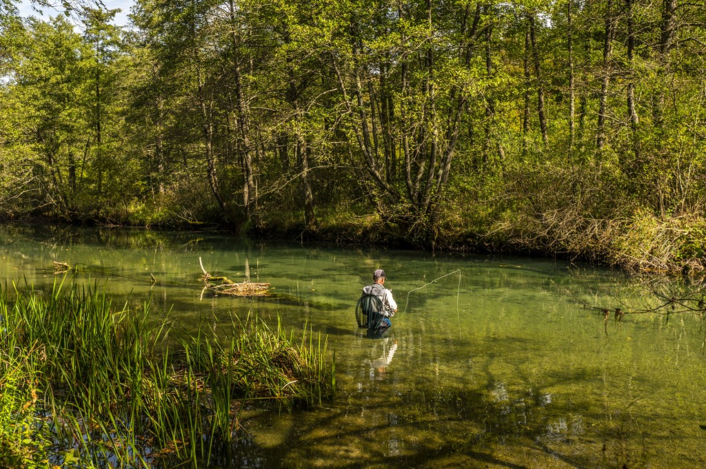 20251018 Slunjčica (8)