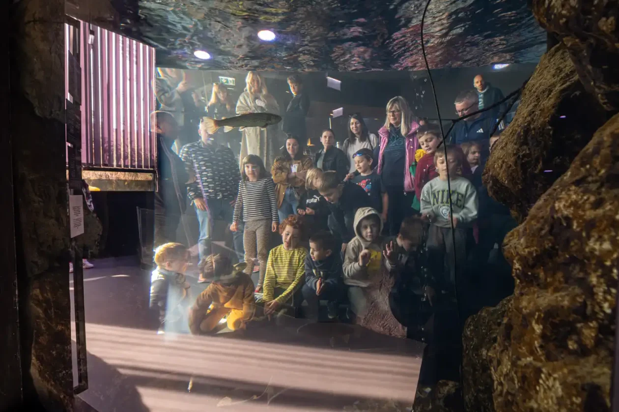 20251019 Slatkovodni akvarij Aquatika (foto Grad Karlovac) 02