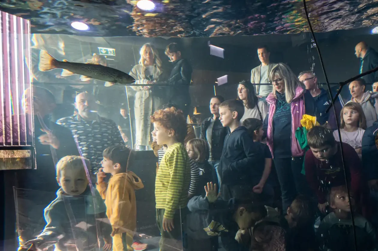 20251019 Slatkovodni akvarij Aquatika (foto Grad Karlovac) 03